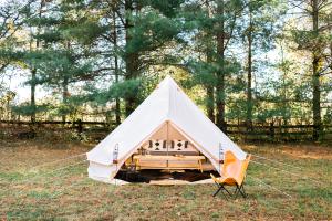 VIP KING LUXURY (Sleeps 1-2) - Wild Tribe Co. Glamping Tent cover picture