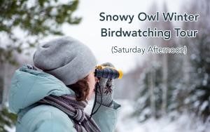 Snowy Owl Tour - Saturday Afternoon cover picture