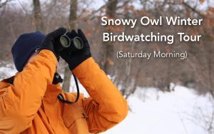 Snowy Owl Tour - Saturday Morning cover picture