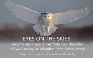 Eyes on the Skies Presentation cover picture