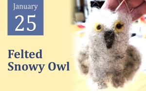 Felted Snowy Owl cover picture