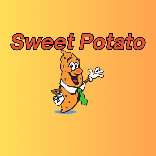 Sweet Potato