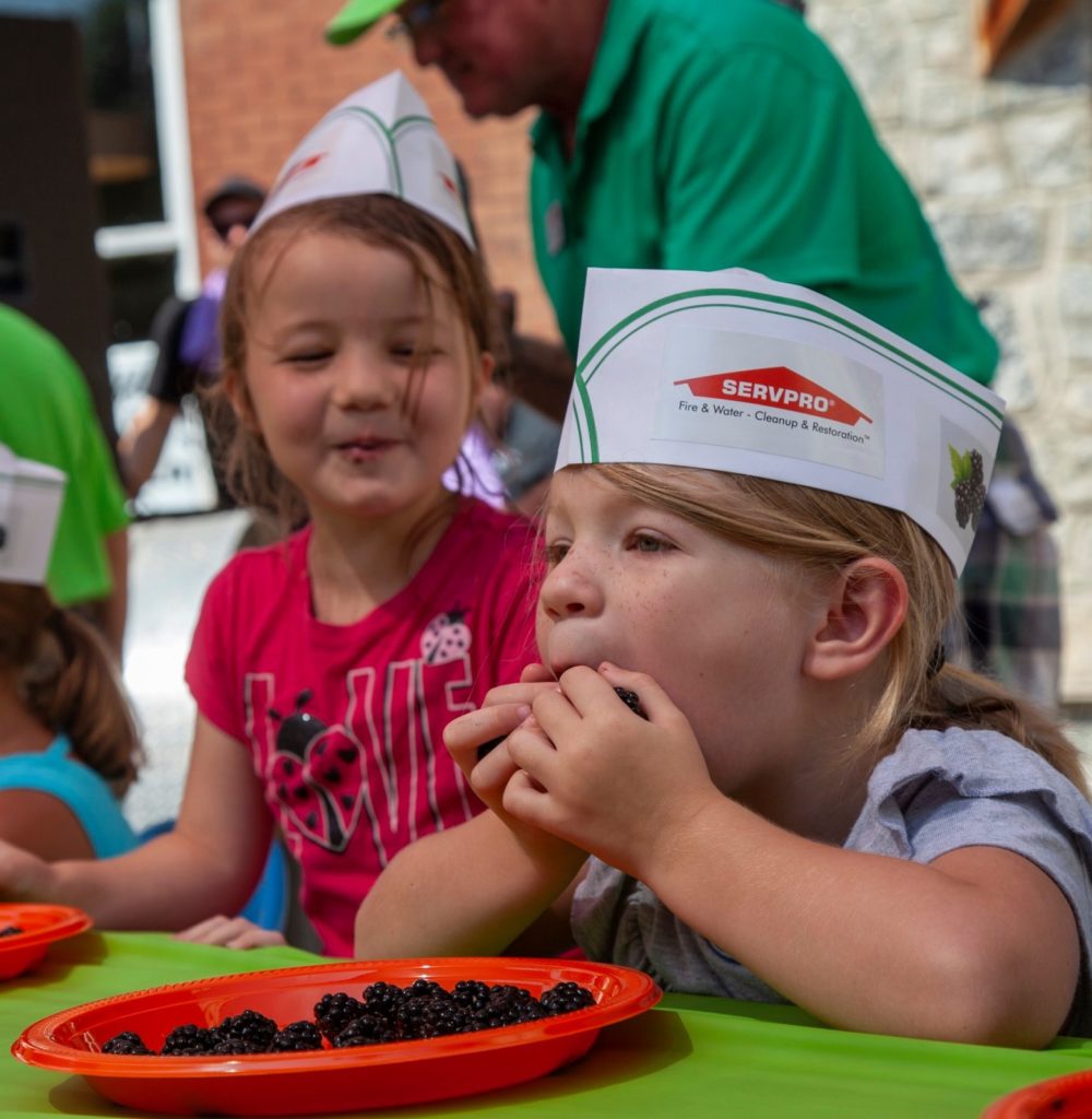 See how fast you can eat a plate of blackberries1