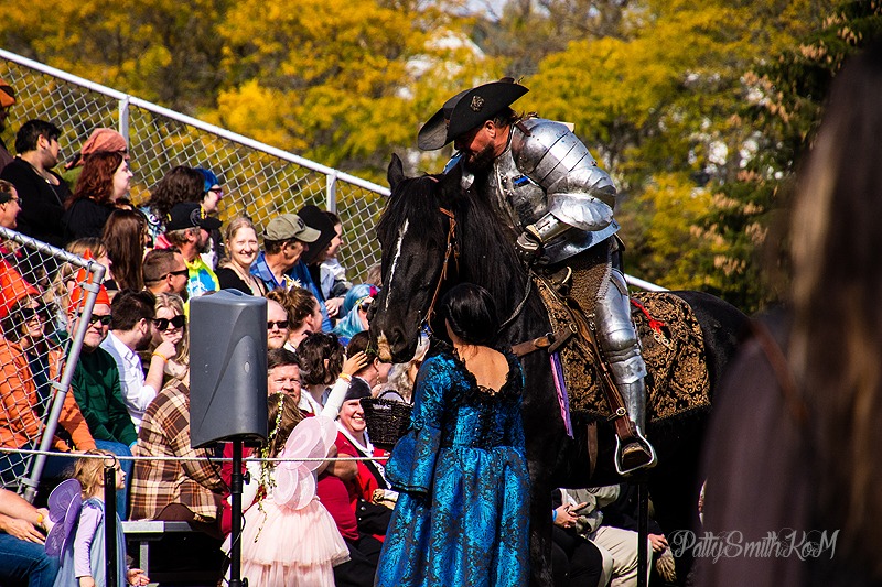 The Wyndonshire Renaissance Faire with the Knights of Mayhem