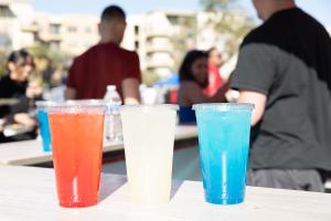 LEMONADE / SPECIALTY BEVERAGE VENDOR APPLICATION