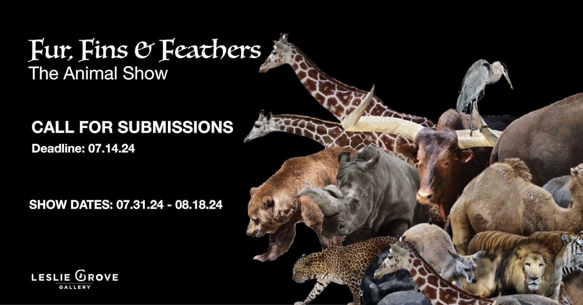 Fur, Fins & Feathers - The Animal Show cover image