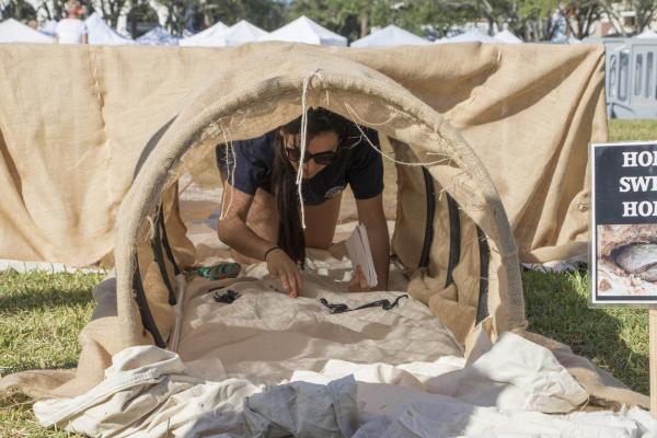 TORTOISE BURROW