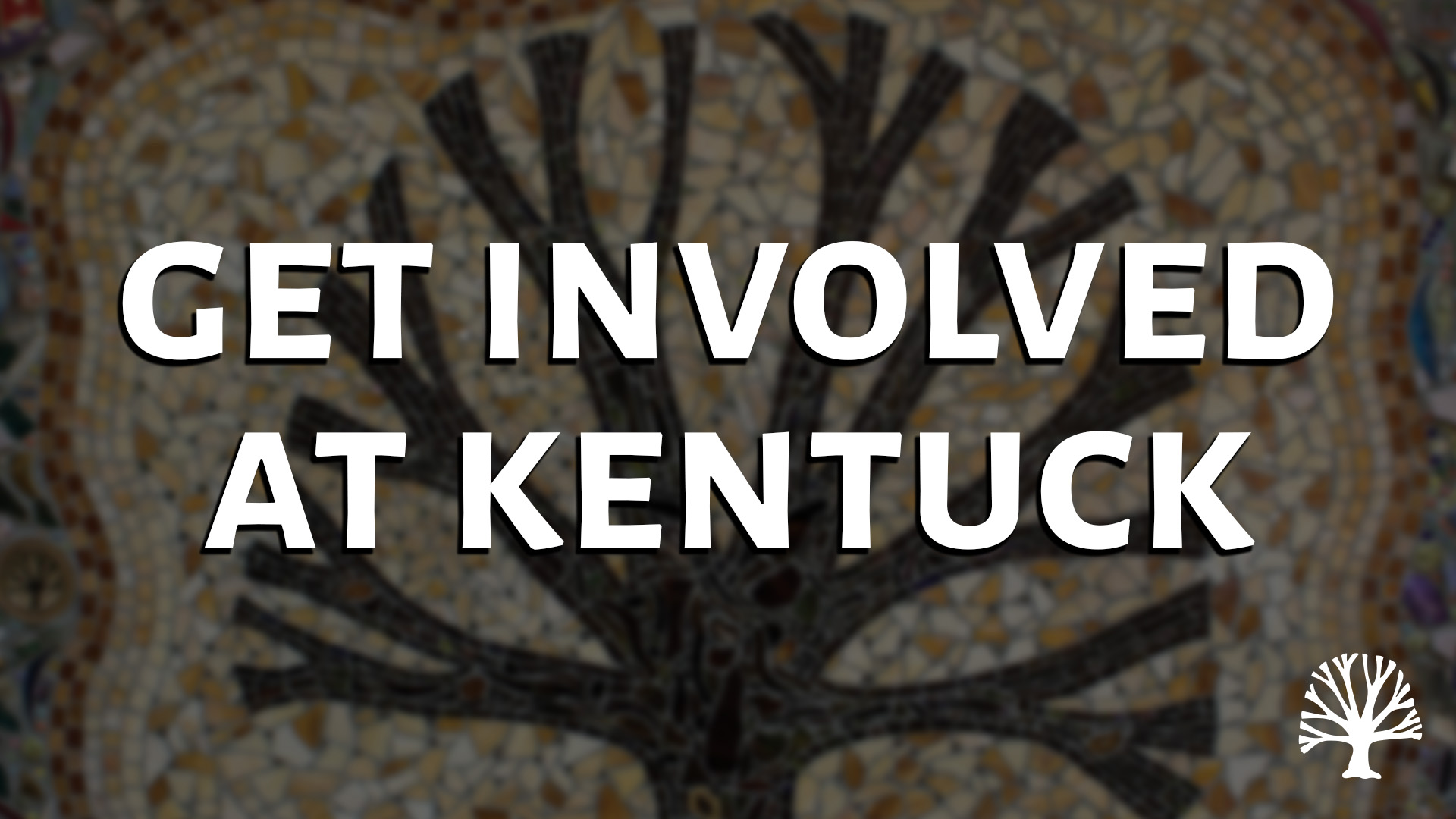 Get Involved at Kentuck