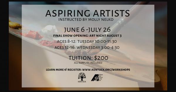Aspiring Artists Summer Camps