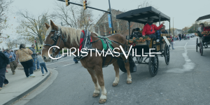 SATURDAY 10:00 AM Horse and Carriage Ride cover picture