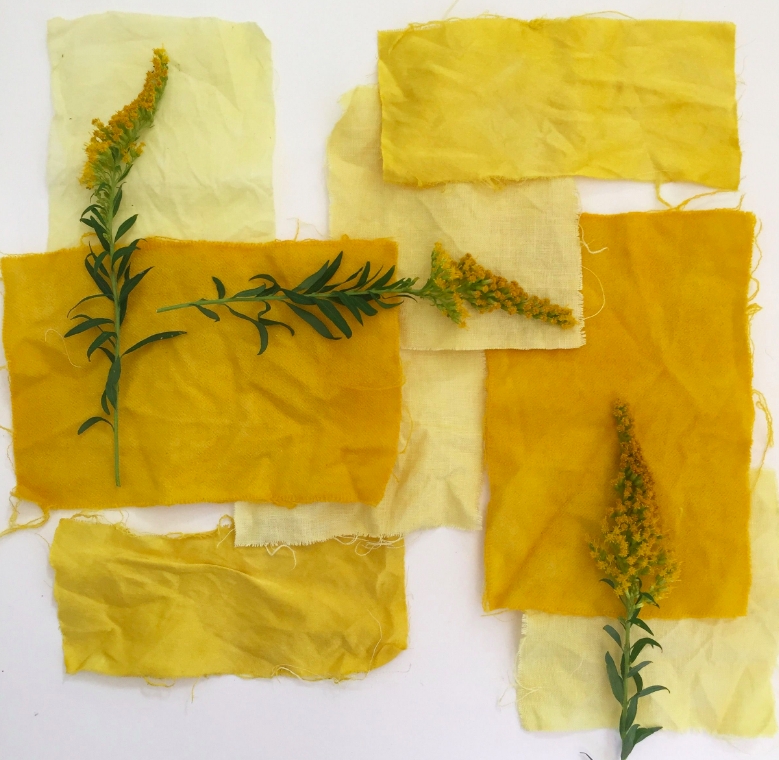 Working with Natural Dyes WORKSHOP w/Nichole Gerding PLACEHOLDER image