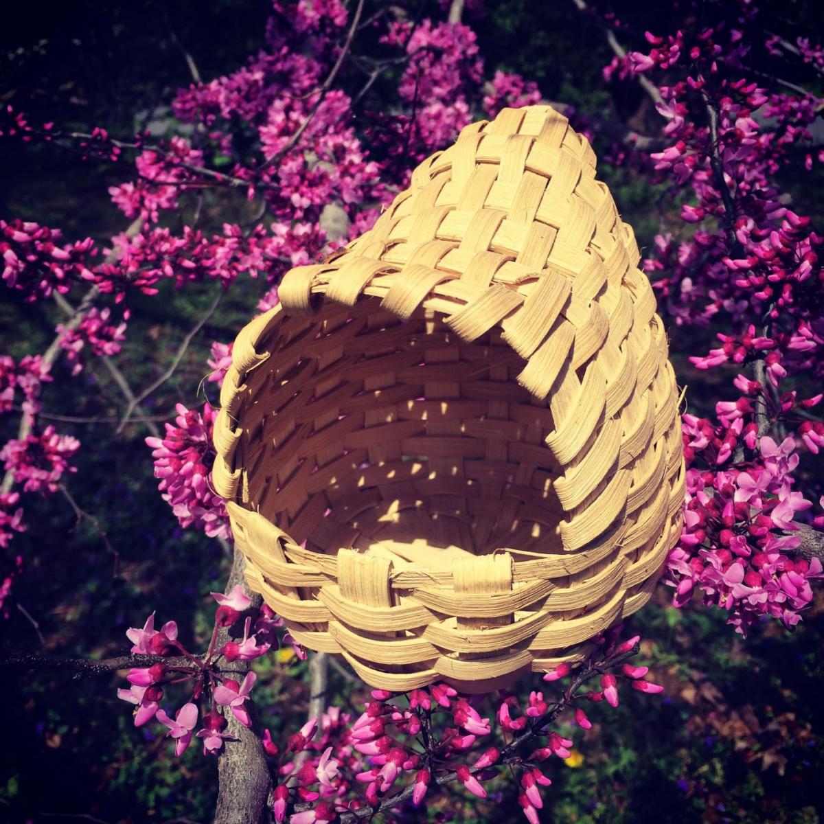 A natural, woven birdhouse is hanging in Redbud tree branches. There are tiny, reddish-purple blosssoms on the branches