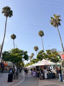 Downtown Santa Monica Application