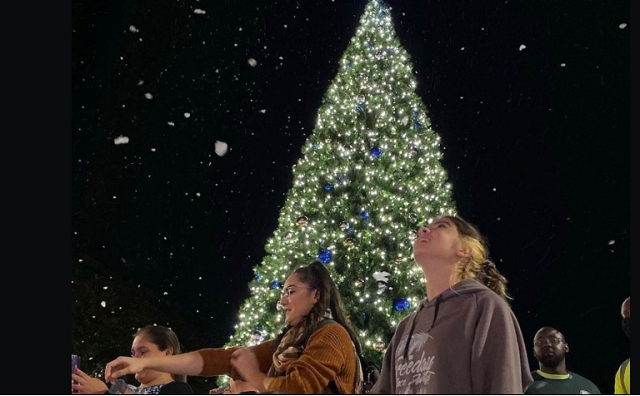 2023 Holiday Tree Lighting