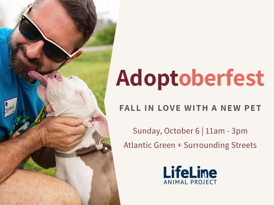 ADOPToberfest - Pet Festival at Atlantic Station