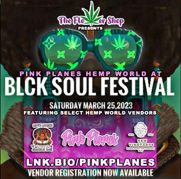 Pink Planes™ Presents: Black Soul Festival