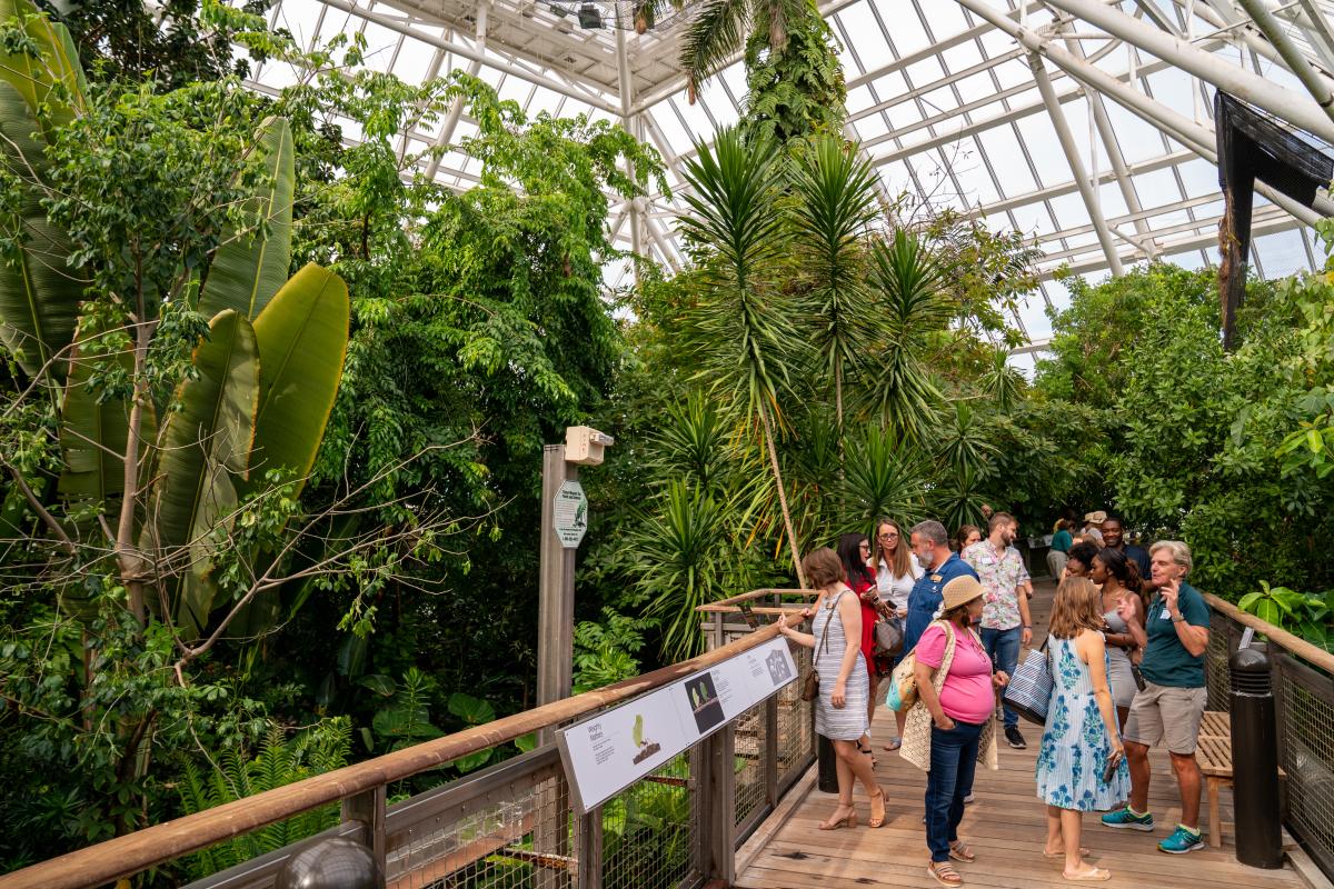 October 2024 CTA Social -Moody Gardens Rain Forest Pyramid cover image