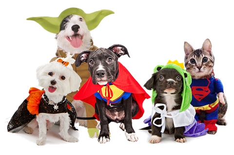 Tickets - Howl-o-ween 2023 - Eventeny