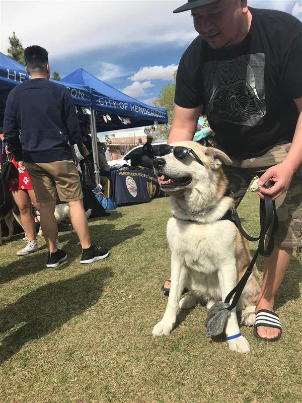 Bark in the Park - Eventeny