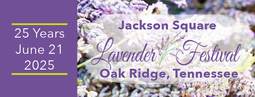 Jackson Square Lavender Festival 2025 cover image