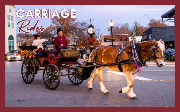 2024 Horse Carriage Rides