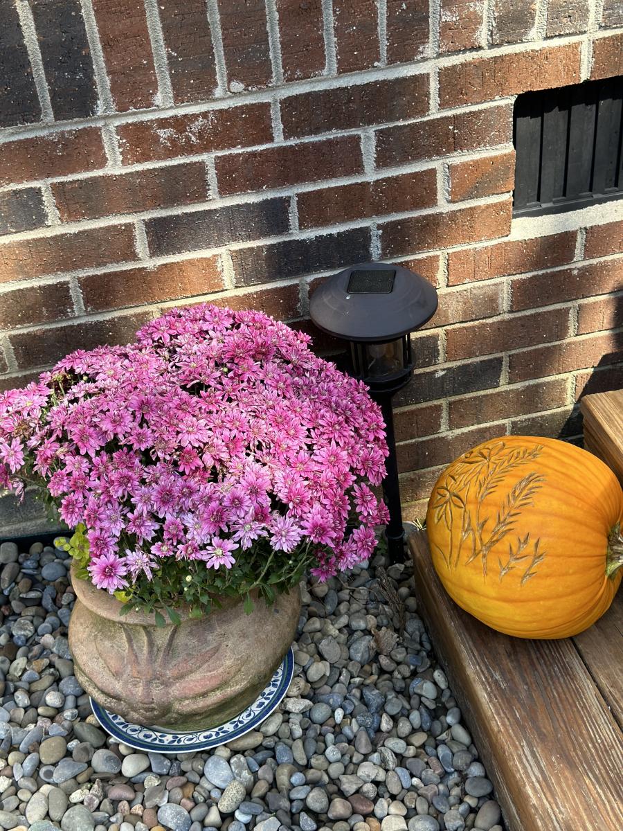 Mum and Pumpkin Flowes