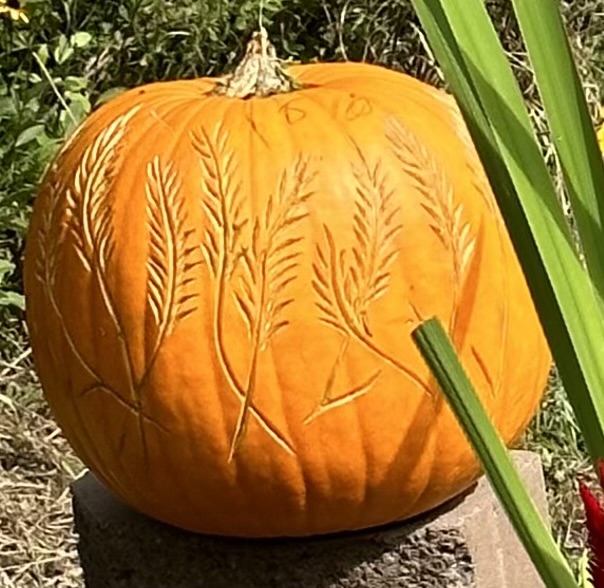 Pumpkin Carving the Southern Way