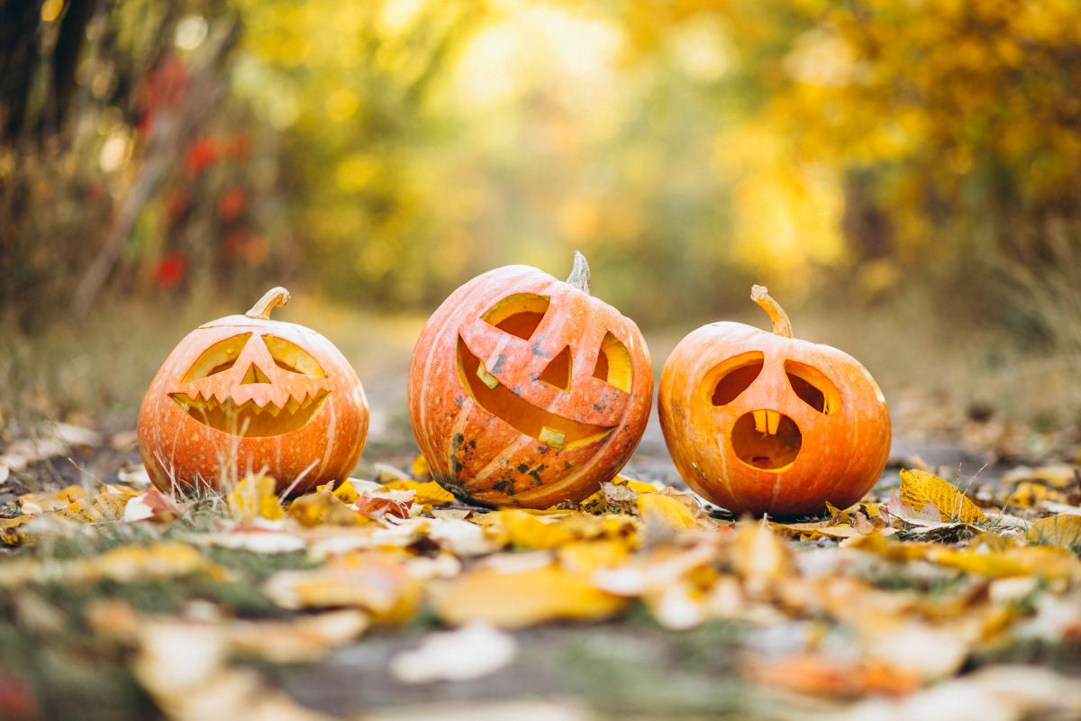 Halloween Park @ Presidio cover image
