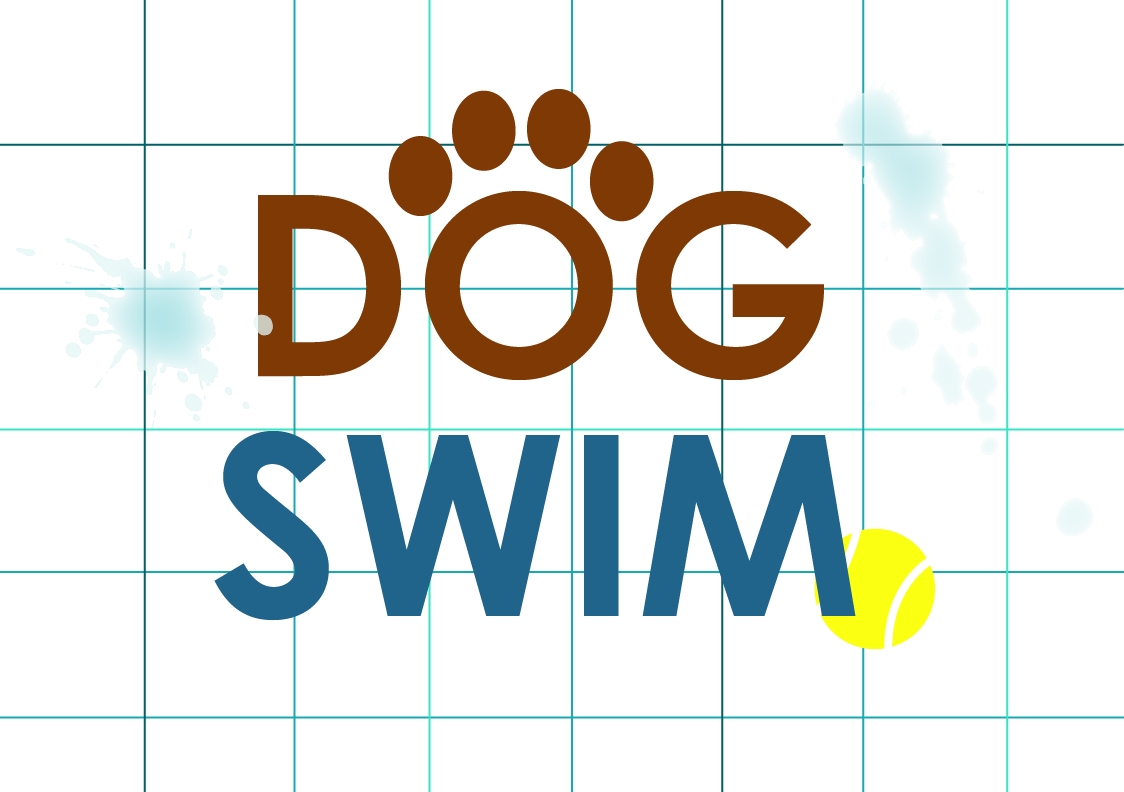 Dog Swim at Town Hall