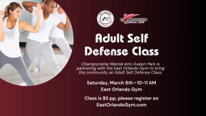 Adult Self Defense Class cover picture