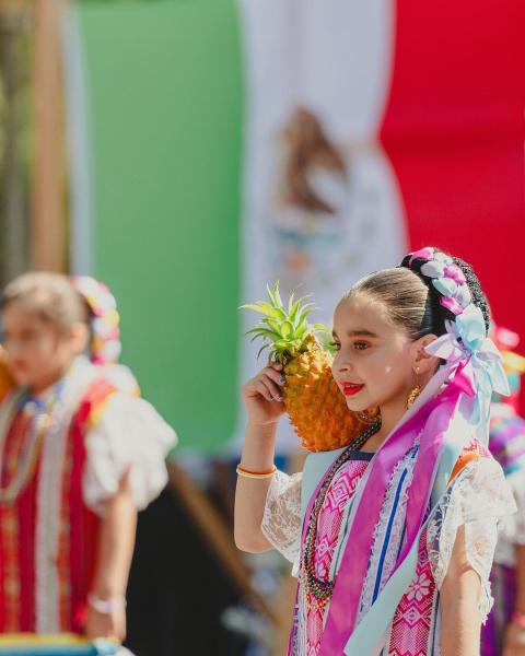 Fiesta Sonoma: Mexican Independence Day Festival