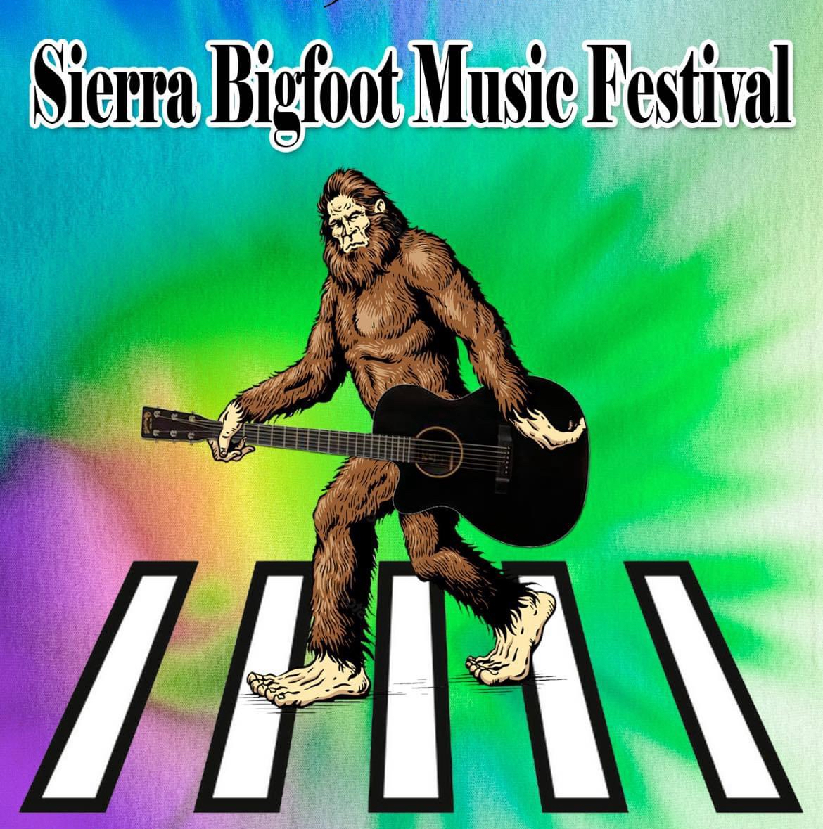 Pre sale Weekend Pass Adult 12+ cover picture