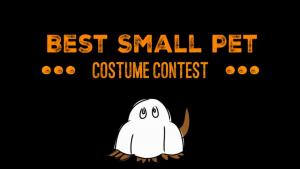 Best Small Pet Costume Contest
