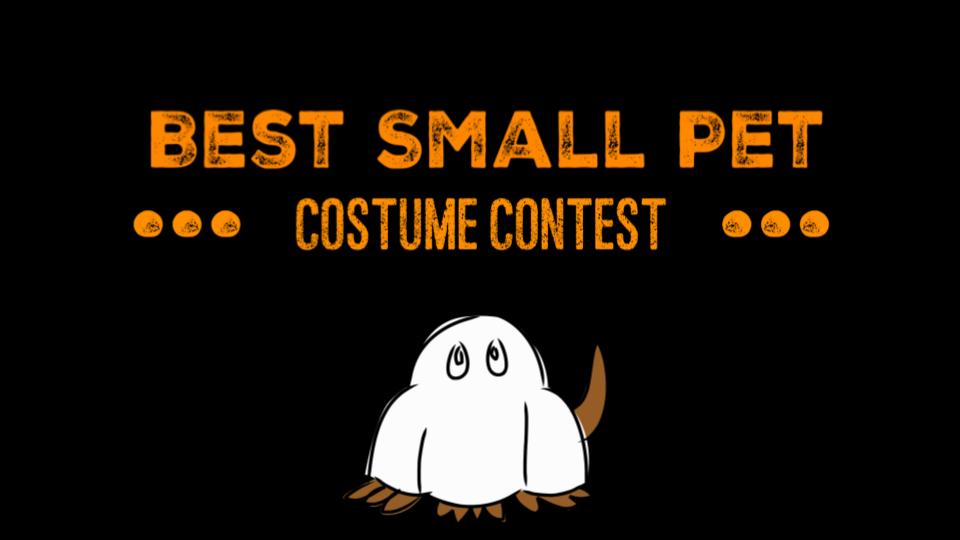 Best Small Pet Costume Contest