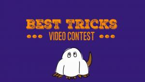 Best Tricks Video Contest