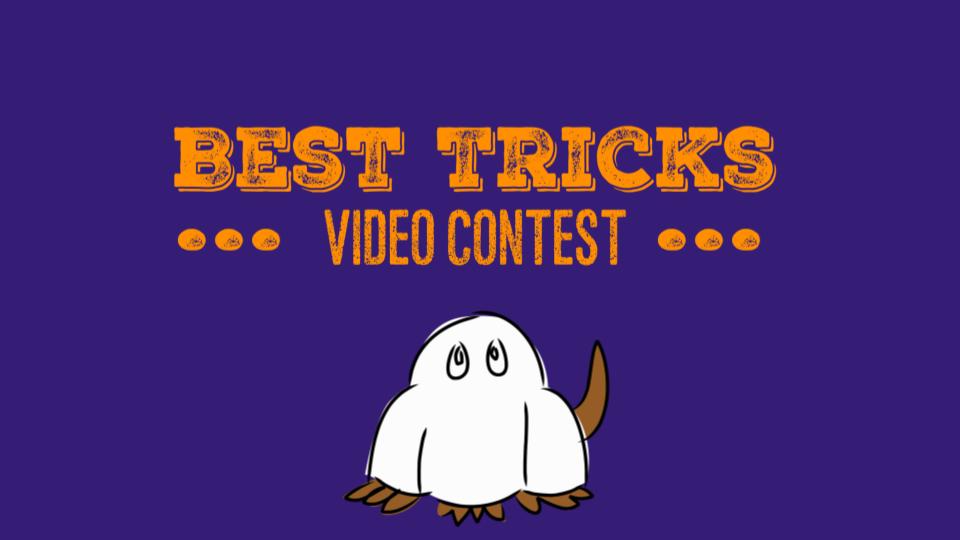 Best Tricks Video Contest