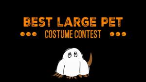 Best Large Pet Costume Contest