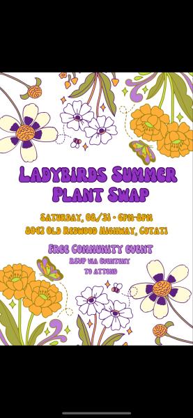 Ladybirds Summer Plant Swap