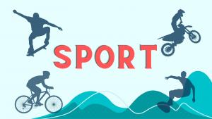 VISTA SPORT (Sport Stores and Sport Affiliated products/shops)