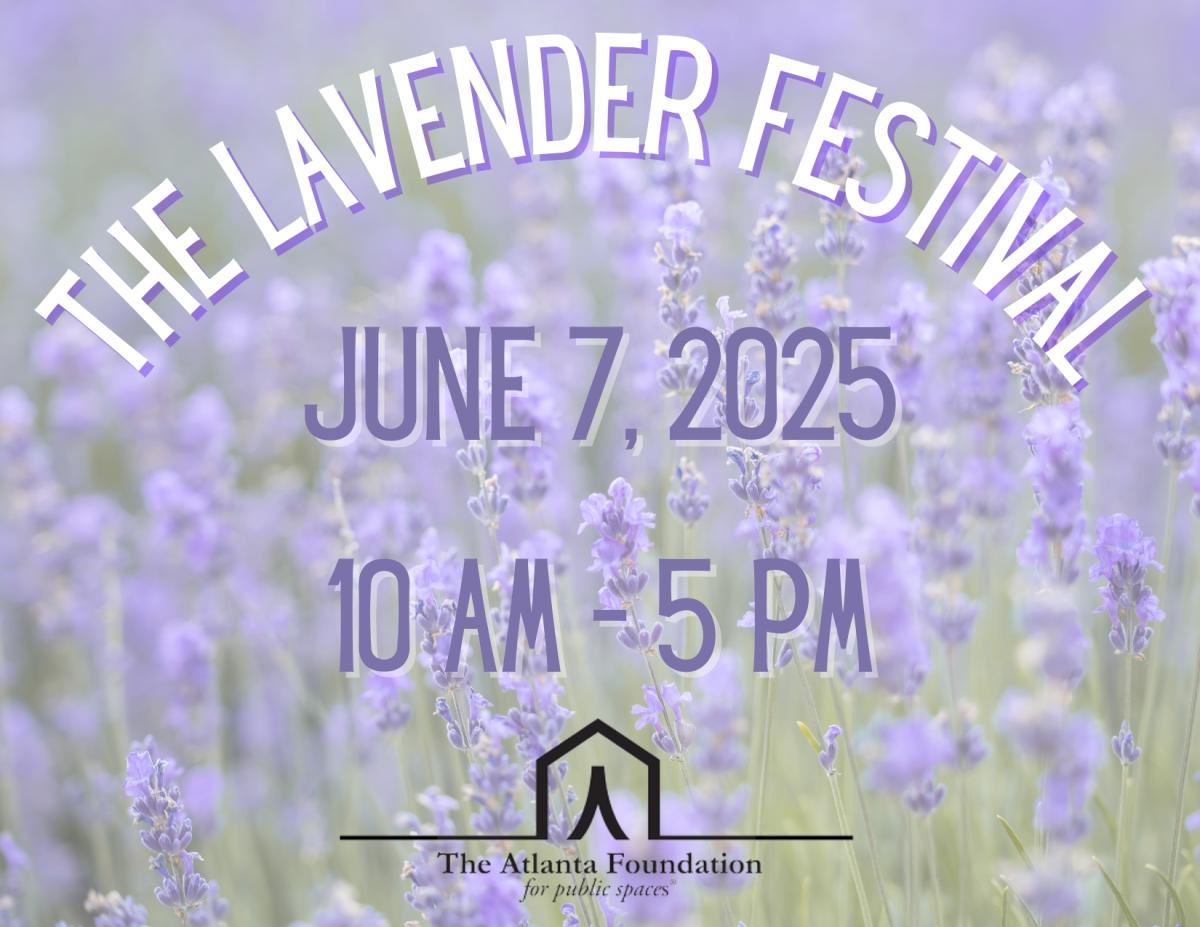 Lavender Festival 2025