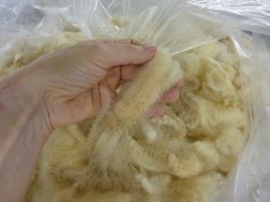 How to Choose a Fleece, Friday 1pm - 4pm with Amy Manko cover picture