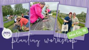 Planting Workshop May 18, 2025 cover picture