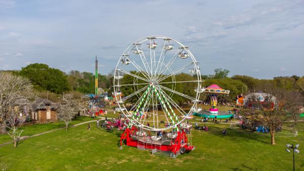 Cherry Blossom Festival at Carolyn Crayton Park (CCP)