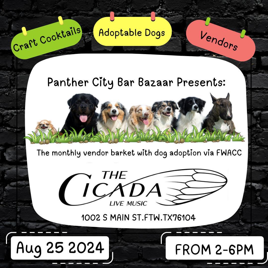 Cicada Canines Monthly Barket August