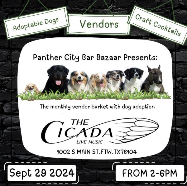 Cicada Canines Monthly Barket September