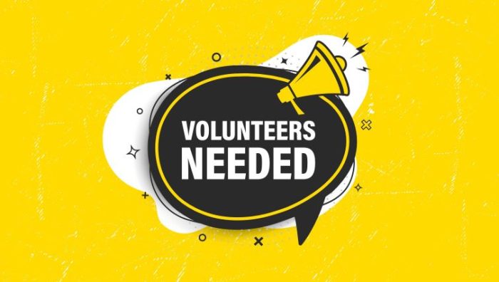 2024 Volunteer Application