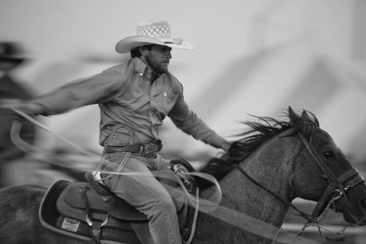 Wyoming State Fair 2025