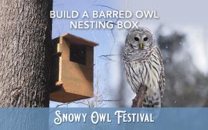 Build a Barred Owl Nesting Box (Feb 4) cover picture