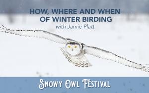 How, Where and When of Winter Birding (Feb 2) cover picture