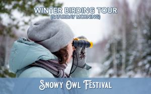 Snowy Owl & Winter Birding Tour (Feb 3) cover picture